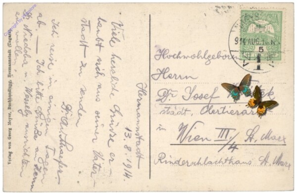 Sibiu (Hermannstadt), Hundsrücken