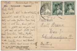 Sibiu (Hermannstadt), Stadttheater und alte Befestigungstürme