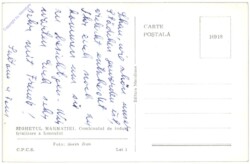 Sighetu Marmatiei, Ansicht