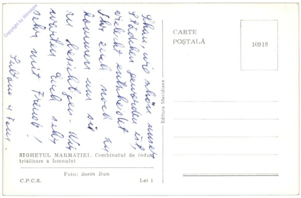 Sighetu Marmatiei, Ansicht