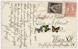 Sinaia, Vedere din Sinaia