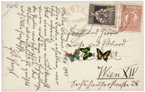 Sinaia, Vedere din Sinaia