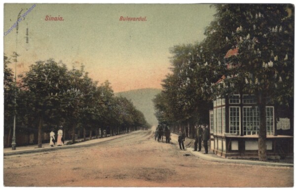 Sinaia, Bulevardul