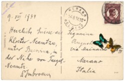 ak146622a Targu Neamt, Jazul