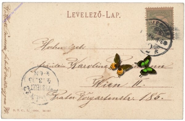 Timisoara (Temeschburg), Parkstrasse