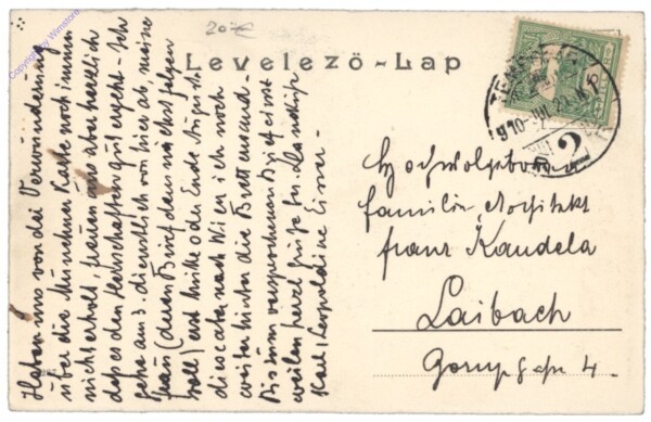 Timisoara (Temeschburg), Liget- ut Parkstrasse