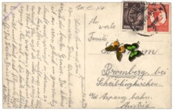 Timisoara (Temeschburg), Multiansicht