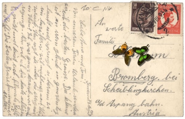 Timisoara (Temeschburg), Multiansicht