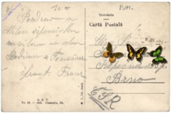 Timisoara (Temeschburg), Statuia Maria