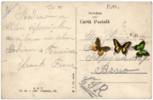 Timisoara (Temeschburg), Statuia Maria