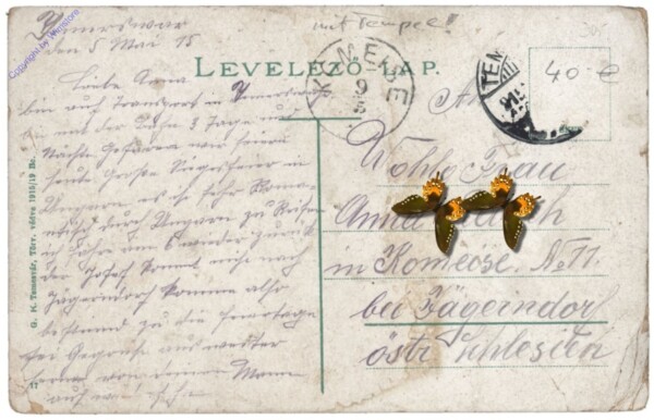 ak146682a Timisoara (Temeschburg), Liget