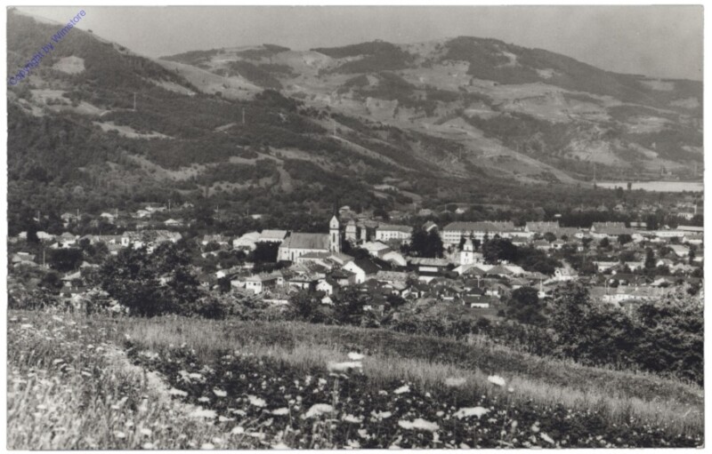 Viseu de Sus, Ansicht