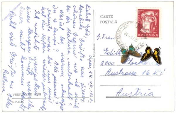 ak146695a Viseu de Sus, Ansicht