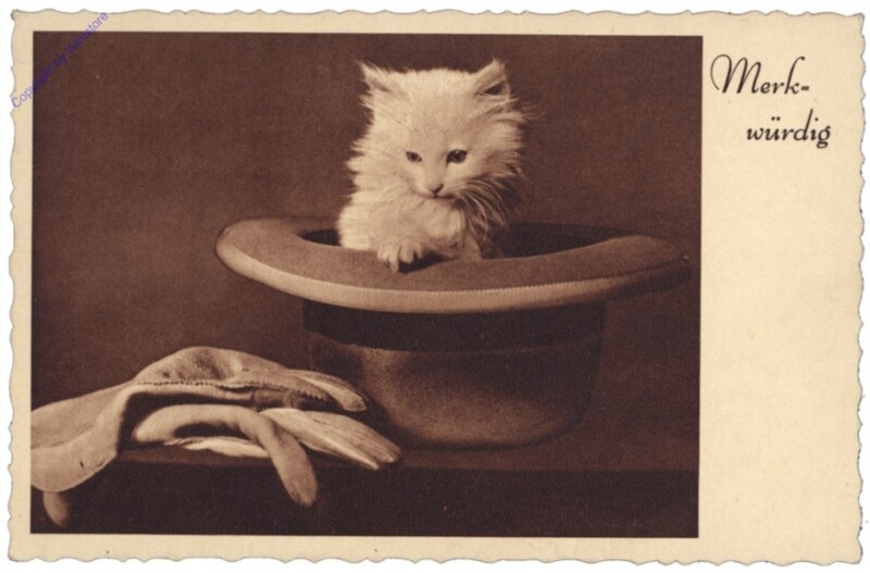 ak146712 Katze im Hut