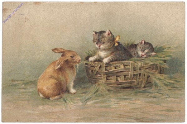ak146724 Katzen mit Hase