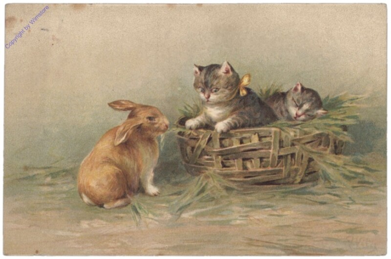 ak146724 Katzen mit Hase