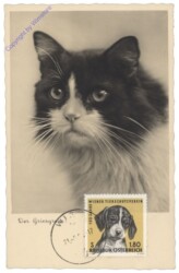 Der Grießgram