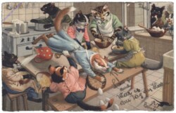 Katzen in der Küche