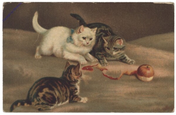 ak146735 Katzen spielen mit Apfel