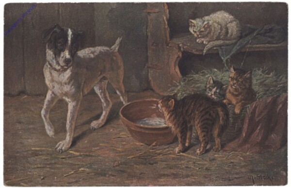 ak146748 Katzen im Stall mit Hund