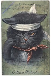 O dieser Kater!