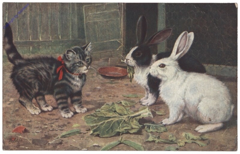 ak146754 Katze mit zwei Hasen