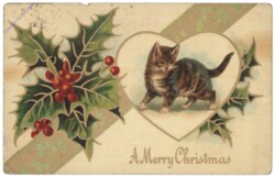 ak146756 Weihnachtskätzchen