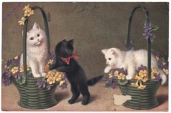 ak146765 Katzen mit Körben