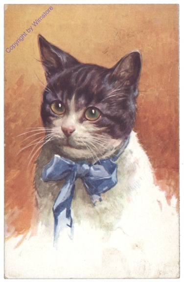 ak146766 Katzenportrait