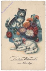 ak146768 Katzen mit Blumen - Namenstag
