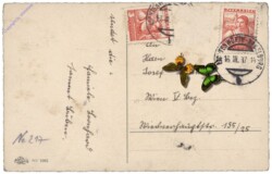 ak146768a Katzen mit Blumen - Namenstag