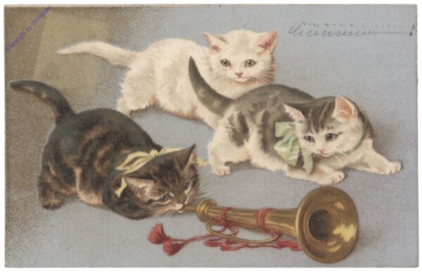 ak146778 Katzen mit Trompete