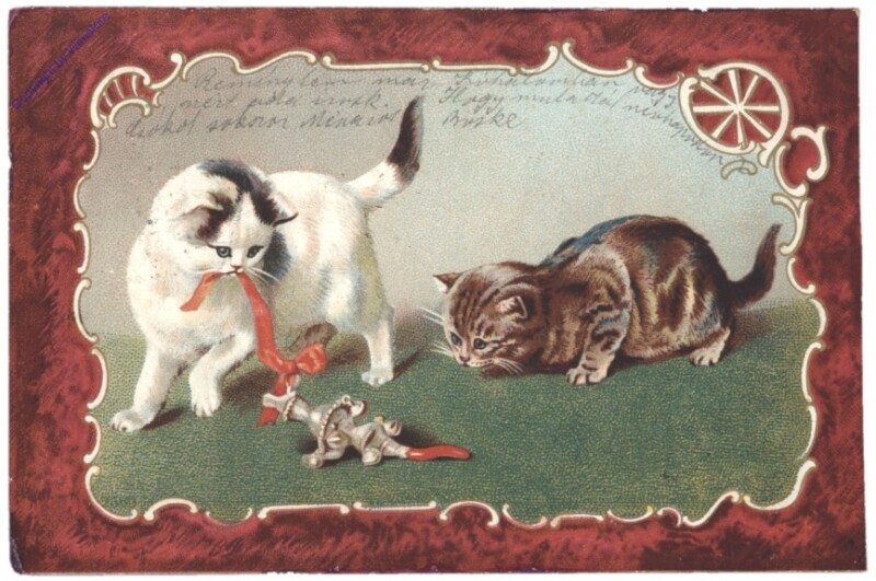 ak146779 Katzen mit Spielzeug