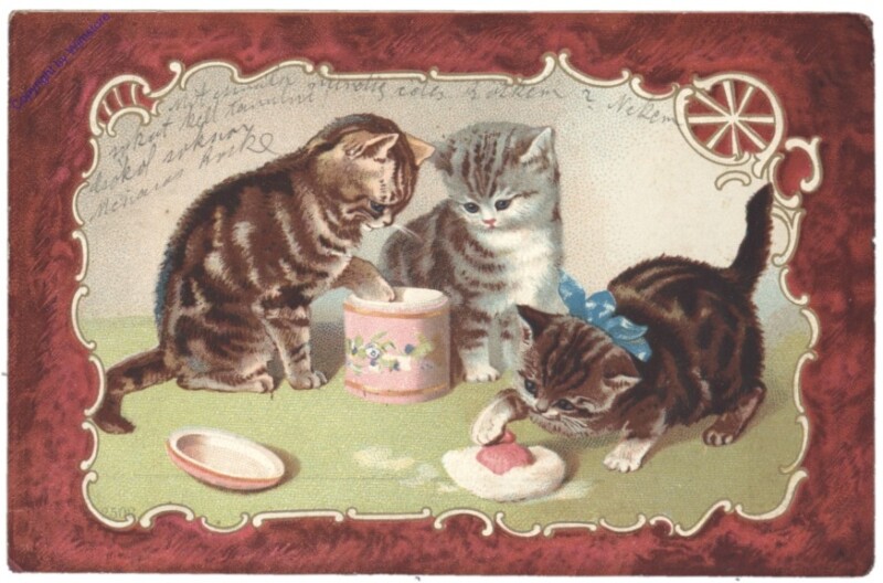 ak146780 Katzen mit Puderdose
