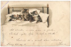 ak146781 Katzen im Bett