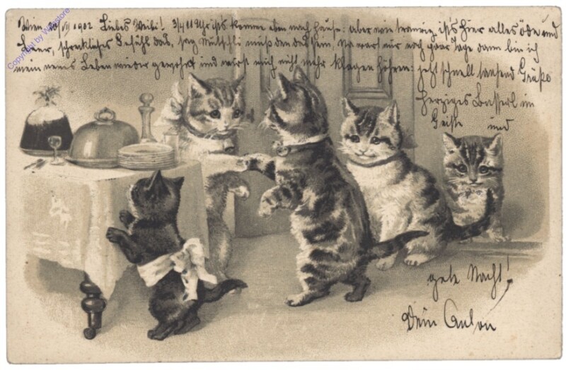 ak146782 Katzen zu Tisch