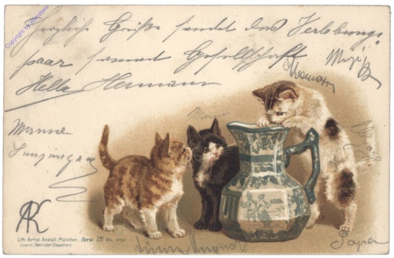 ak146785 Katzen mit Krug