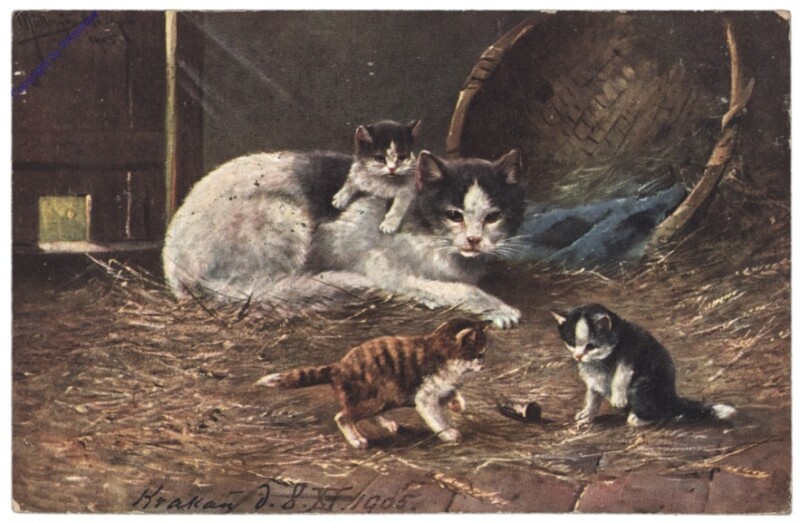 ak146790 Katzenmutter
