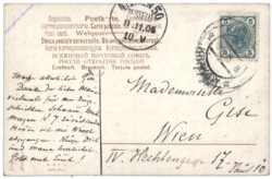 Katzenmutter