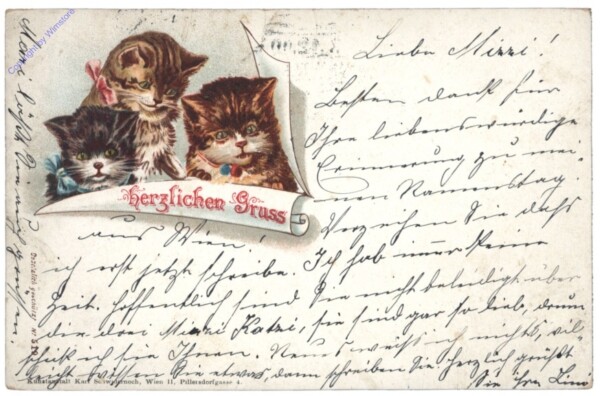 ak146792 Herzliche Katzengrüße