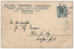 ak146795a Katzen mit Kücken