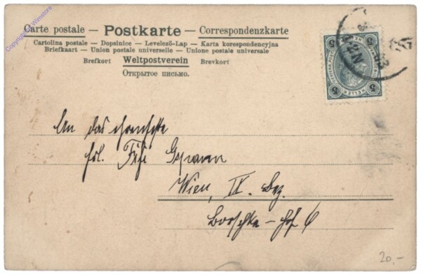 ak146795a Katzen mit Kücken