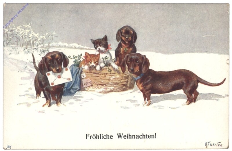 ak146796 Katzen und Dackel - Fröhliche Weihnachten