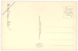 Mutzi-Katzi