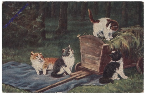 ak146802 Katzen am Wagen