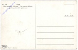 ak146802a Katzen am Wagen