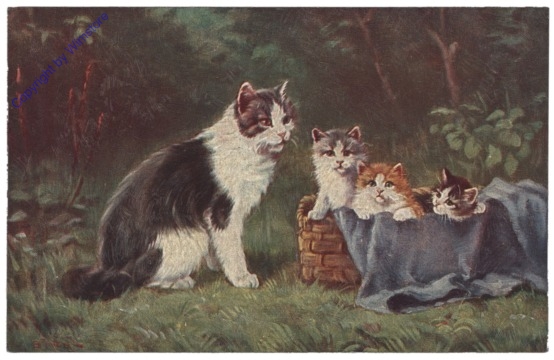 ak146803 Katzenmutter mit Kätzchen