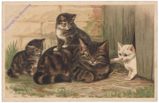ak146804 Katzenmutter mit Kätzchen