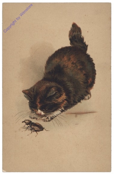 ak146805 Katze mit Käfer