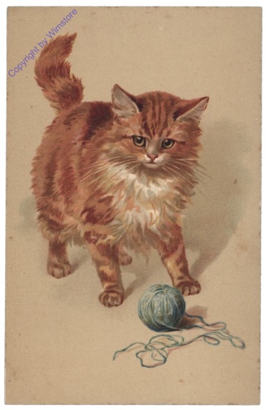 ak146806 Katze mit Wolle